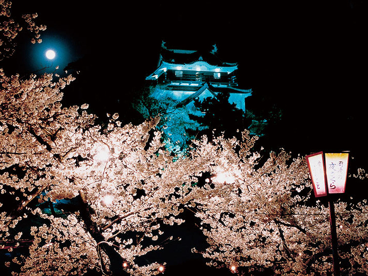縮小開催 岡崎の桜まつり 公式 愛知県の観光サイトaichi Now