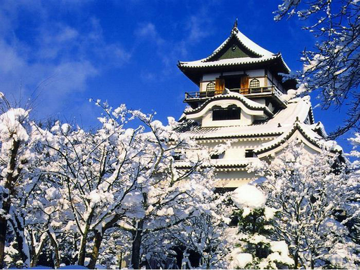 愛知 県 の お 城 一覧