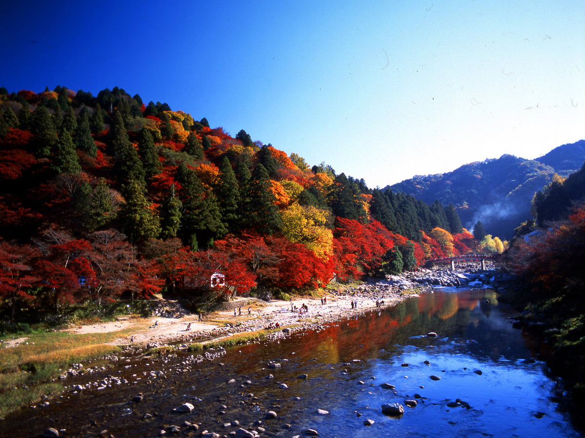 愛知釀造文化和紅葉勝地香嵐溪令人懷念的日本原始風景體驗之旅 推薦路線 Experiences In Aichi