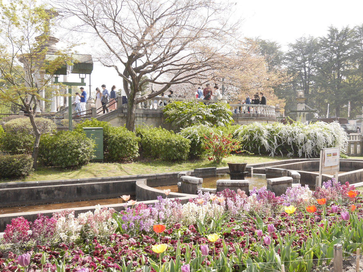 鶴舞公園 Spring Park 公式 愛知 名古屋の観光サイトaichinow