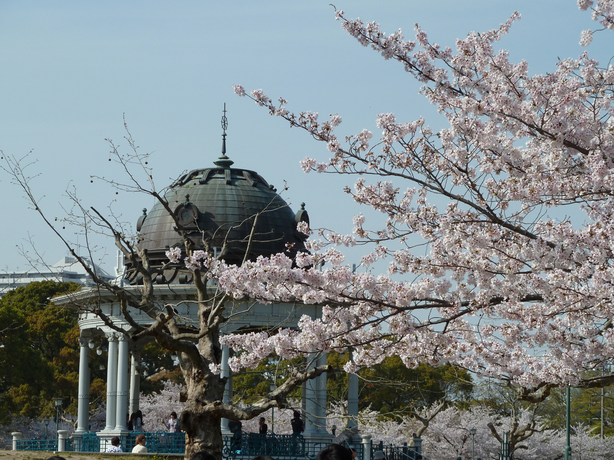 鶴舞公園 桜まつり