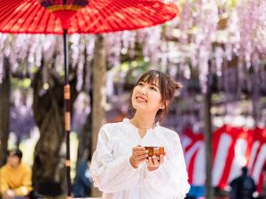 오와리쓰시마 등꽃 축제 후지 축제(덴노가와 공원)후지 축제