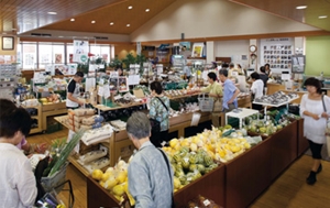 道の駅「にしお岡ノ山」