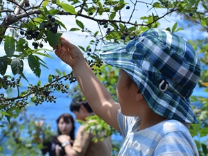 グリーンステージ花の木農園