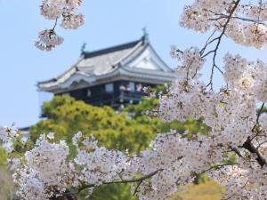 오카자키 벚꽃축제