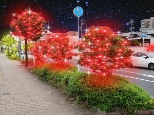 Komaki Station Area Illumination