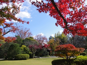 Urakuen Japanese garden / National Treasure teahouse Jo-an
