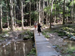 Narusawa-no-Taki Waterfall