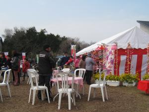เทศกาลทุ่งดอกมัสตาร์ดและดอกซากุระ ที่แม่น้ำเมะเมะดะกะวะ(เมะเมะดะกะวะ นาโนะฮานะ ซากุระ มัตสึริ)