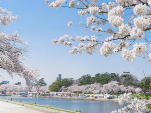 Okazaki Cherry Blossoms Festival (Okazaki no Sakura Matsuri)