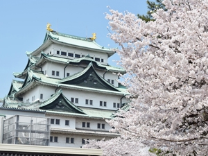 名古屋城/名古屋城本丸宮殿