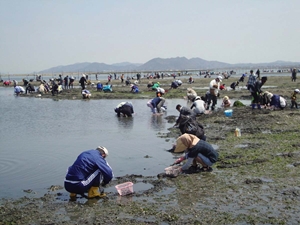 小中山地区海岸　潮干狩り