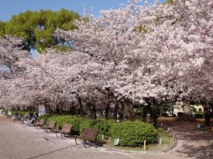 鹤舞公园　花卉节