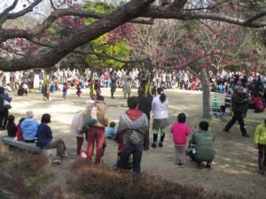 Minami Park Plum Blossom Festival