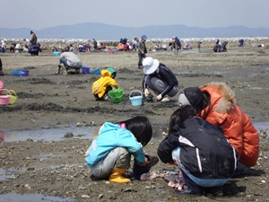 白谷海岸　潮干狩り