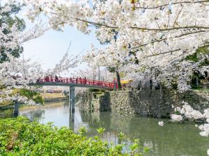 Okazaki Cherry Blossom Festival