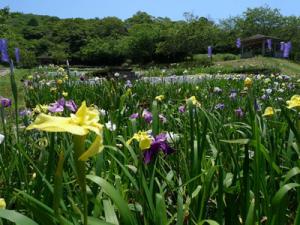 初立池公園