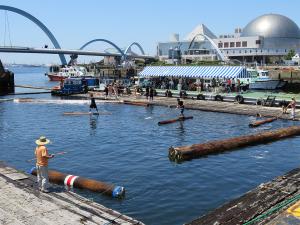 海の日名古屋みなと祭海の日名古屋みなと祭