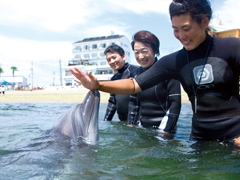 日間賀島ドルフィンビーチ2022