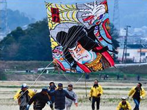 Kota Kite Flying Festival (Kota Takoage Matsuri)