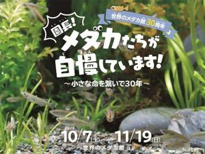 世界のメダカ館30周年「園長！メダカたちが自慢しています！～小さな命を繋いで30年～」