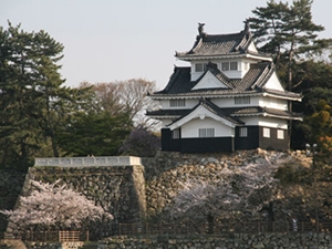 Yoshida Castle