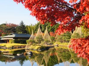 白鳥庭園「観楓会 紅葉茶会」