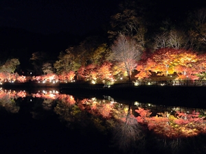 夢・彩・発見ふじおか紅葉まつり