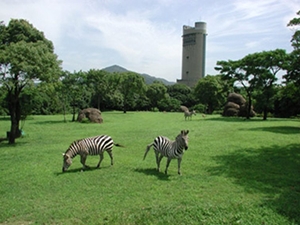 Toyohashi Zoo & Botanical Park