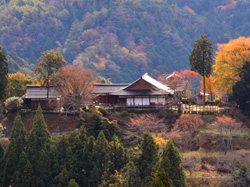 田峯城