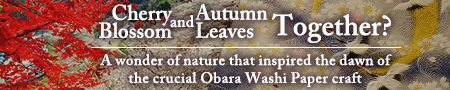 AICHI LIVING TALES - Cherry Blossom and Autumn Leaves Together?