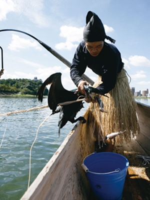 การตกปลาแบบอุไคแห่งแม่น้ำคิโสะ