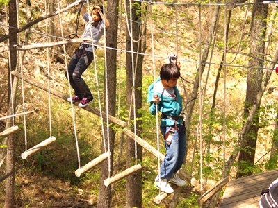 Forest Adventure Shinshiro