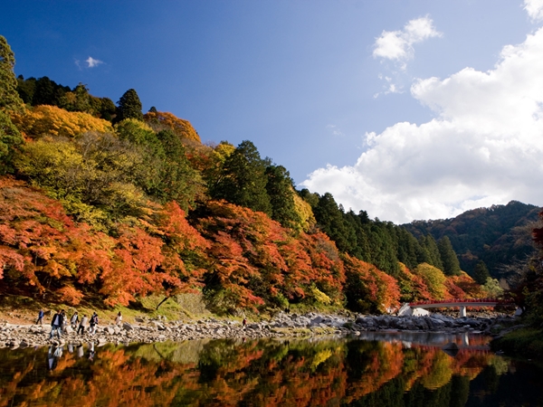 香岚溪