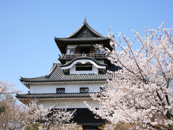 National Treasure Inuyama Castle