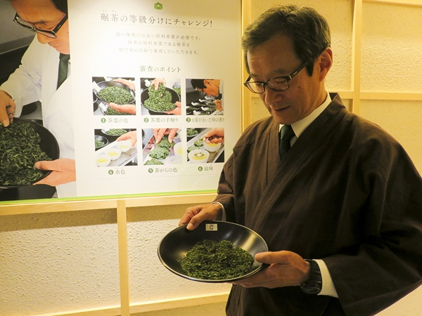 Matcha Green Tea Museum Sajoen Waku Waku