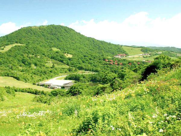 茶臼山高原・スキー場・芝桜