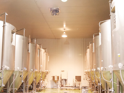 潛入獲獎眾多、贏得了世界認可的“盛田金鯱啤酒”工廠