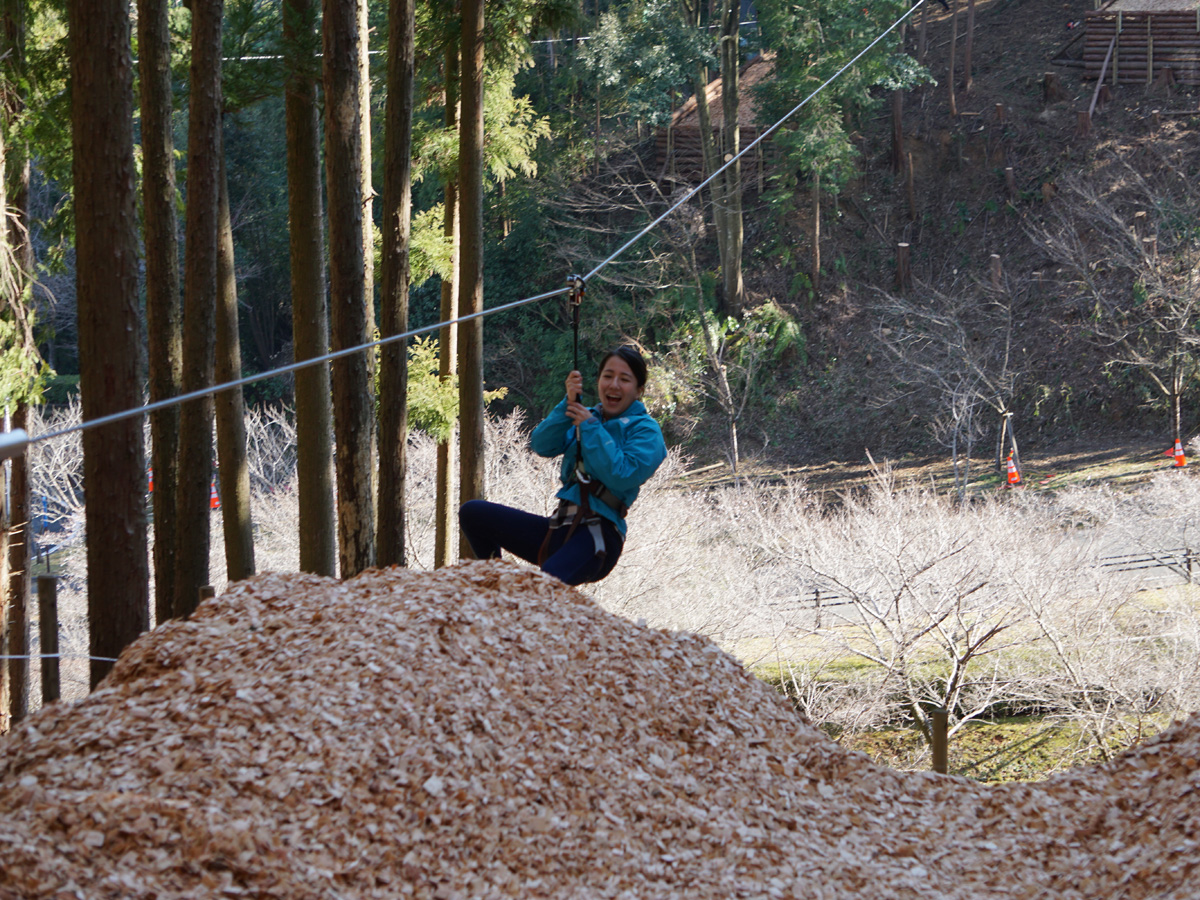 Forest Adventure Shinshiro