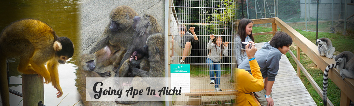 Going Ape In Aichi